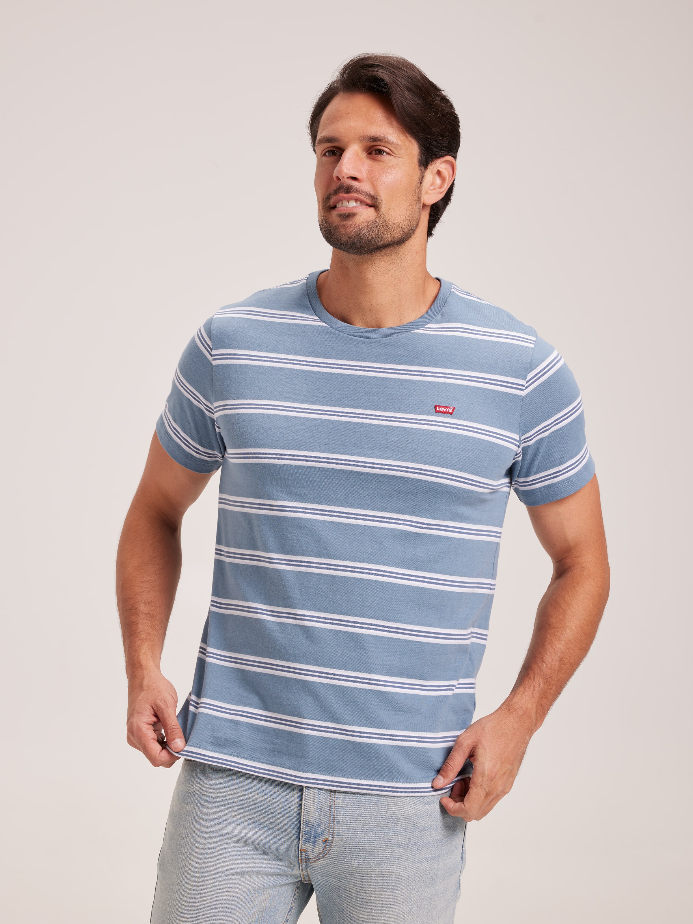 Original Hm Tee In Rowan Stripe Steam Blue