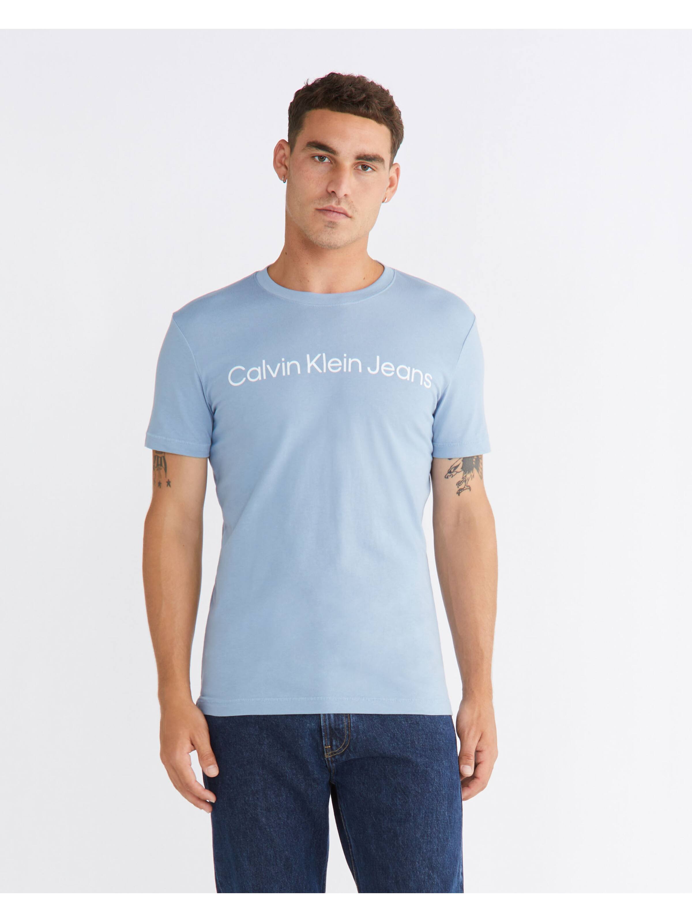 Institutional Logo Slim Tee In Iceland Blue