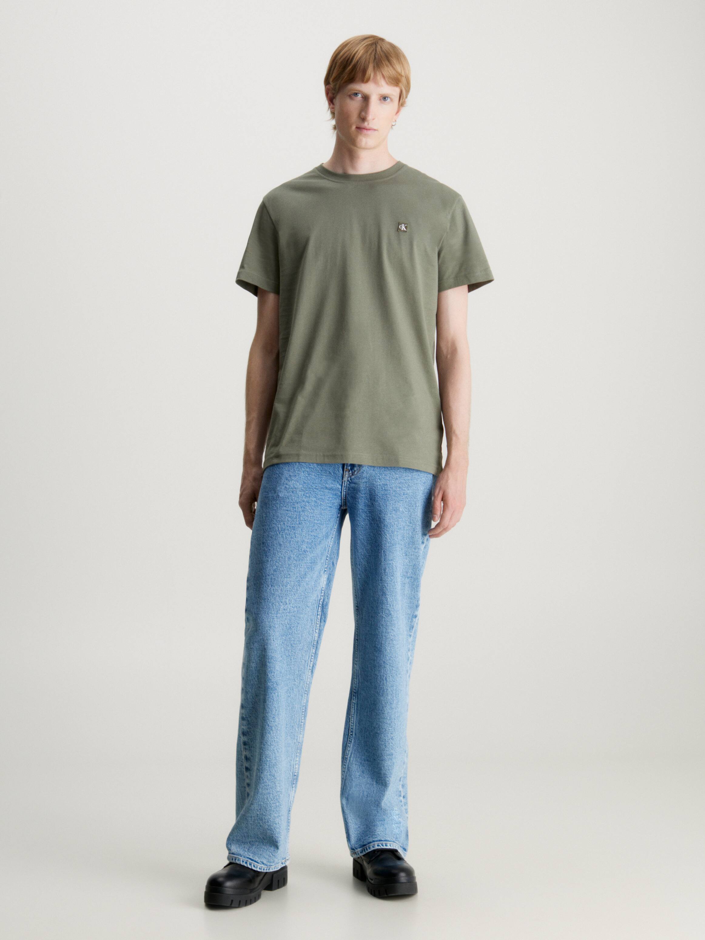 Embroidered Badge Tee In Dust Olive