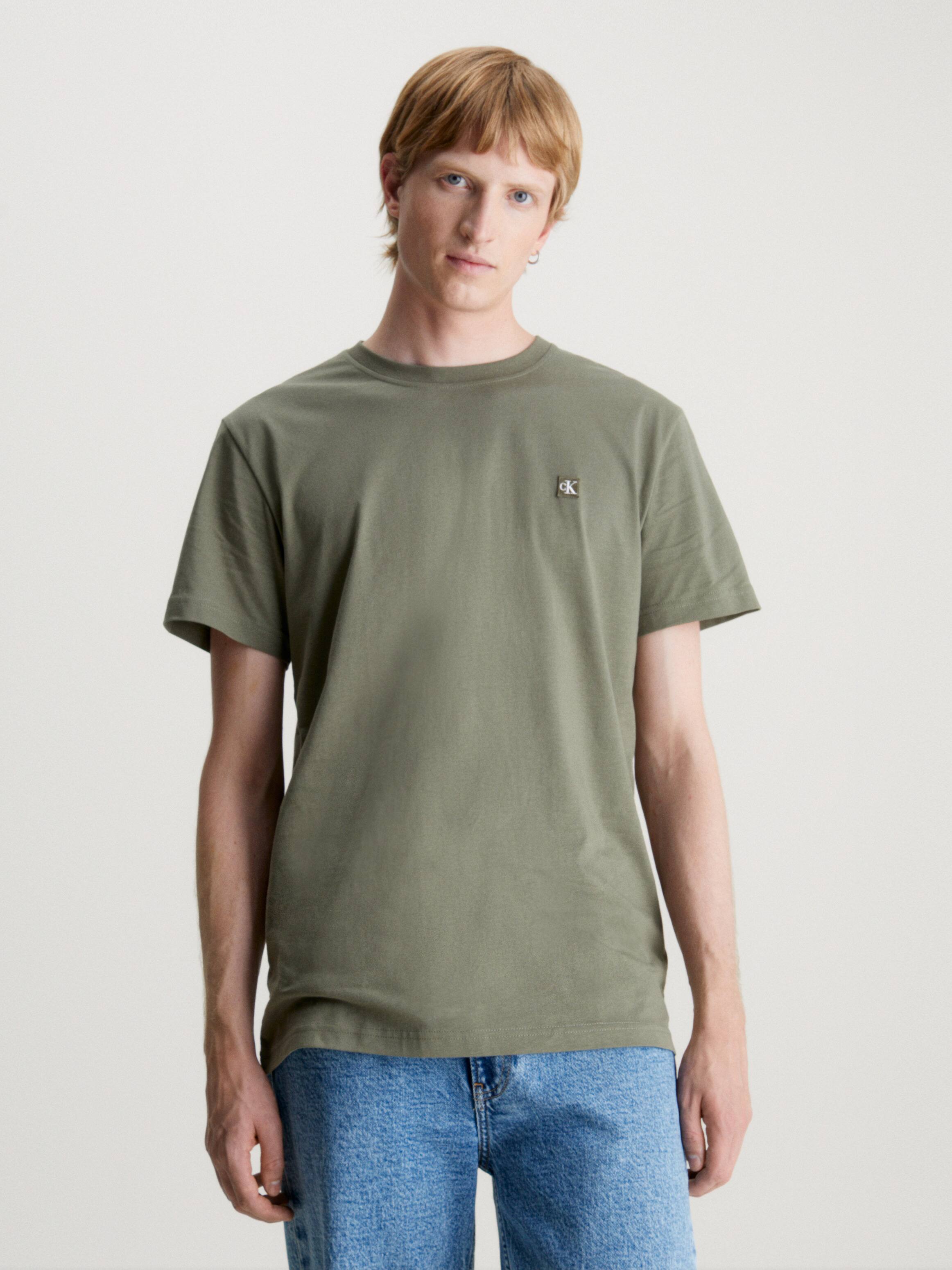 Embroidered Badge Tee In Dust Olive