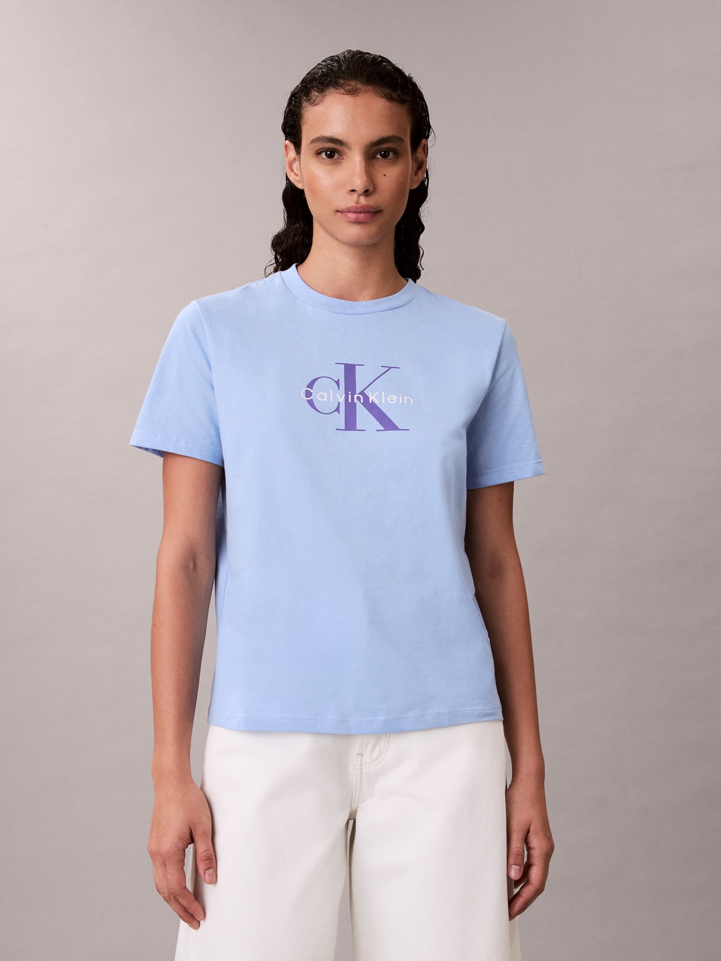 Hero Classic Monologo Tee In Frozen Fjord