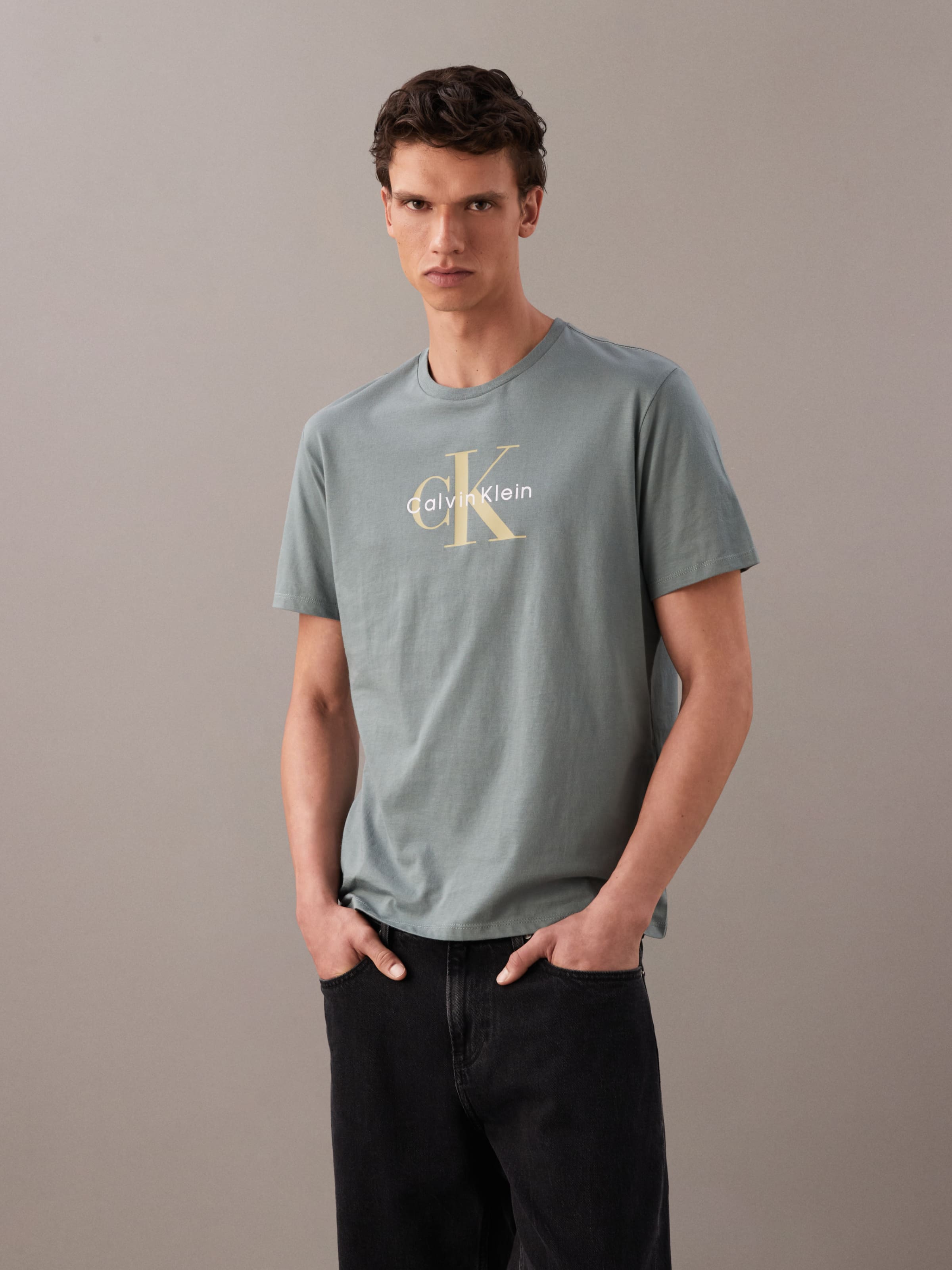 Short Sleeve Hero Monologo Tee 30S In Autumn Green
