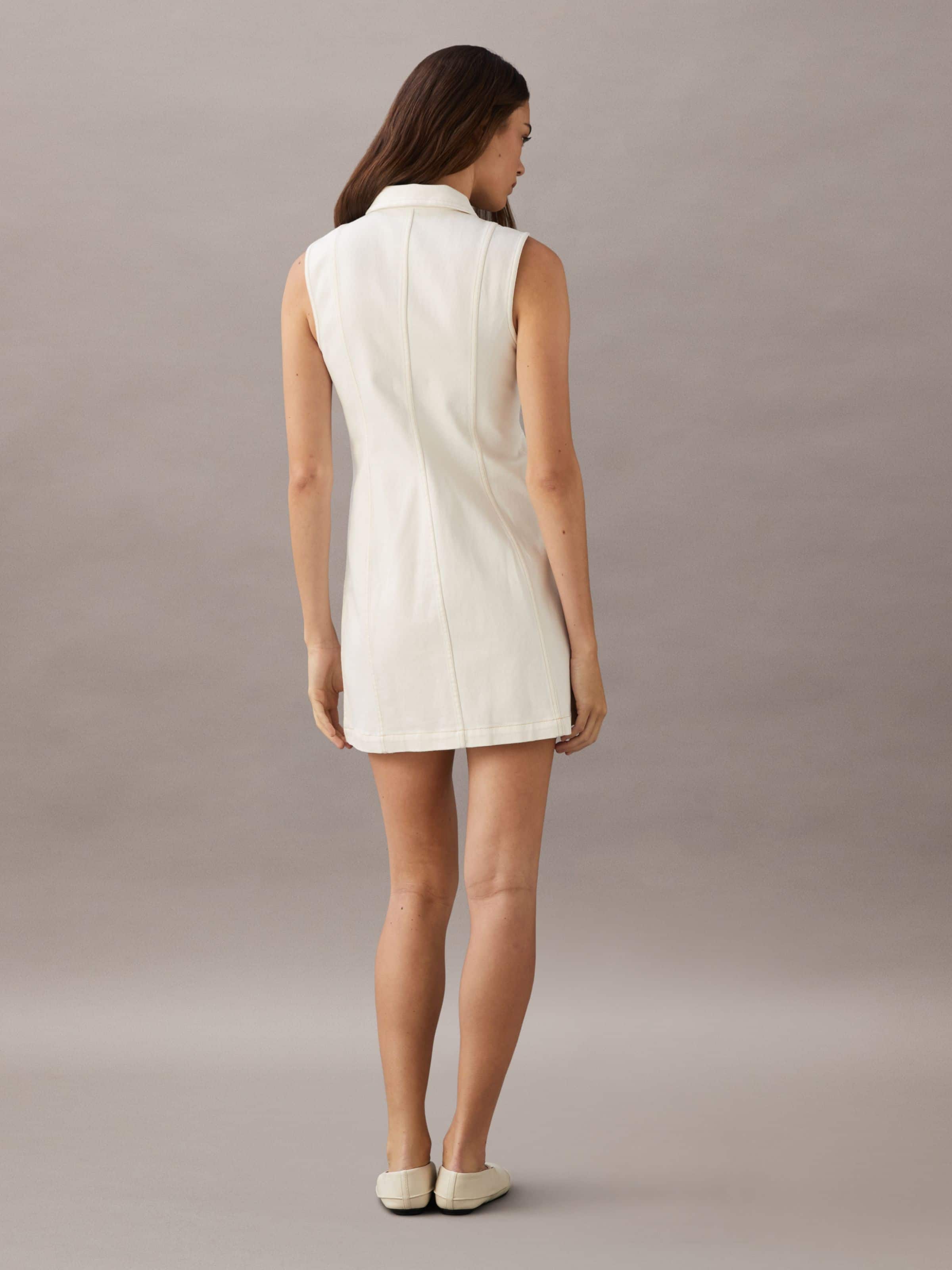 Seamed Mini Dress In Ecru