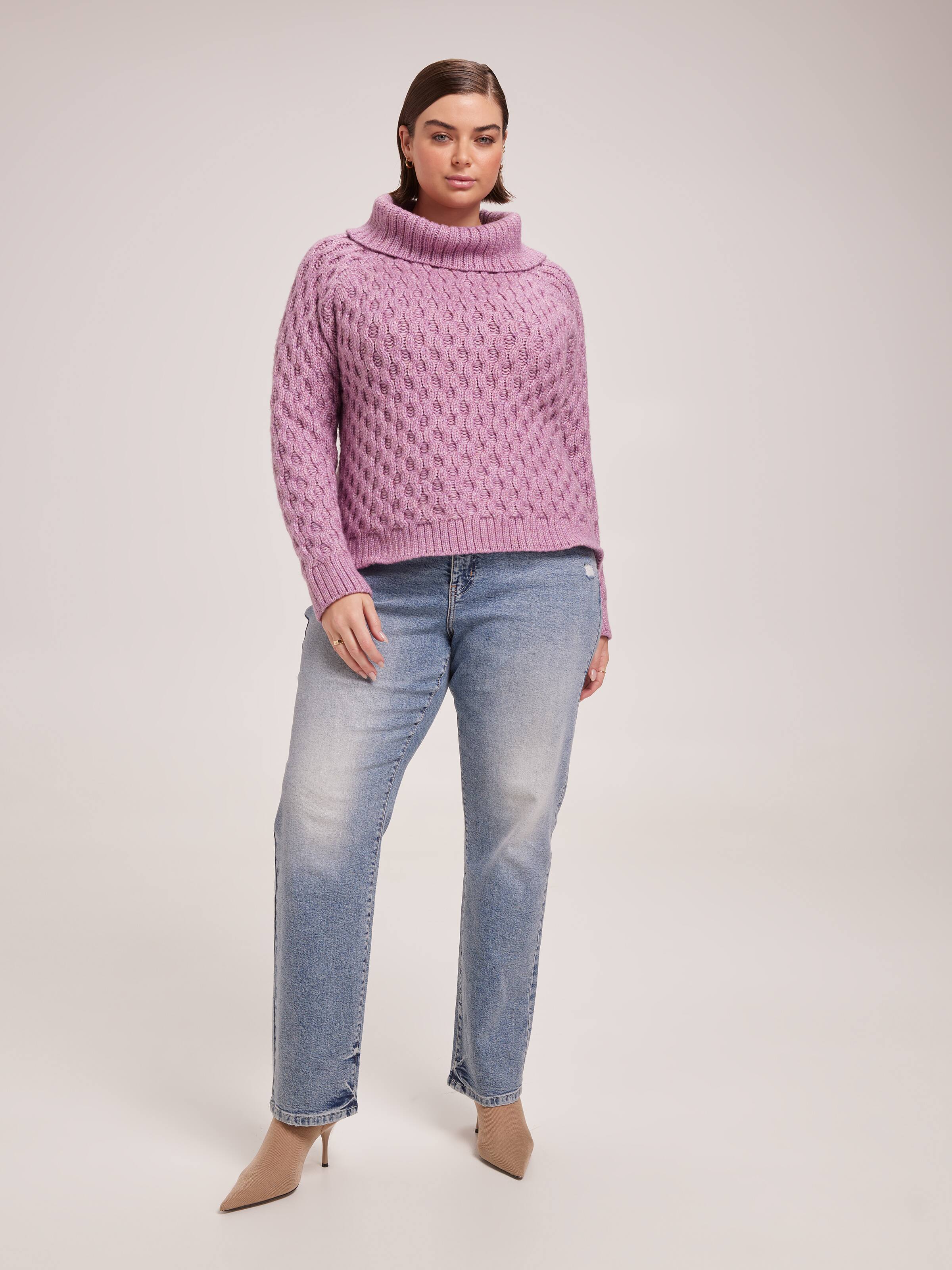 Curve Wren Roll Neck Pullover