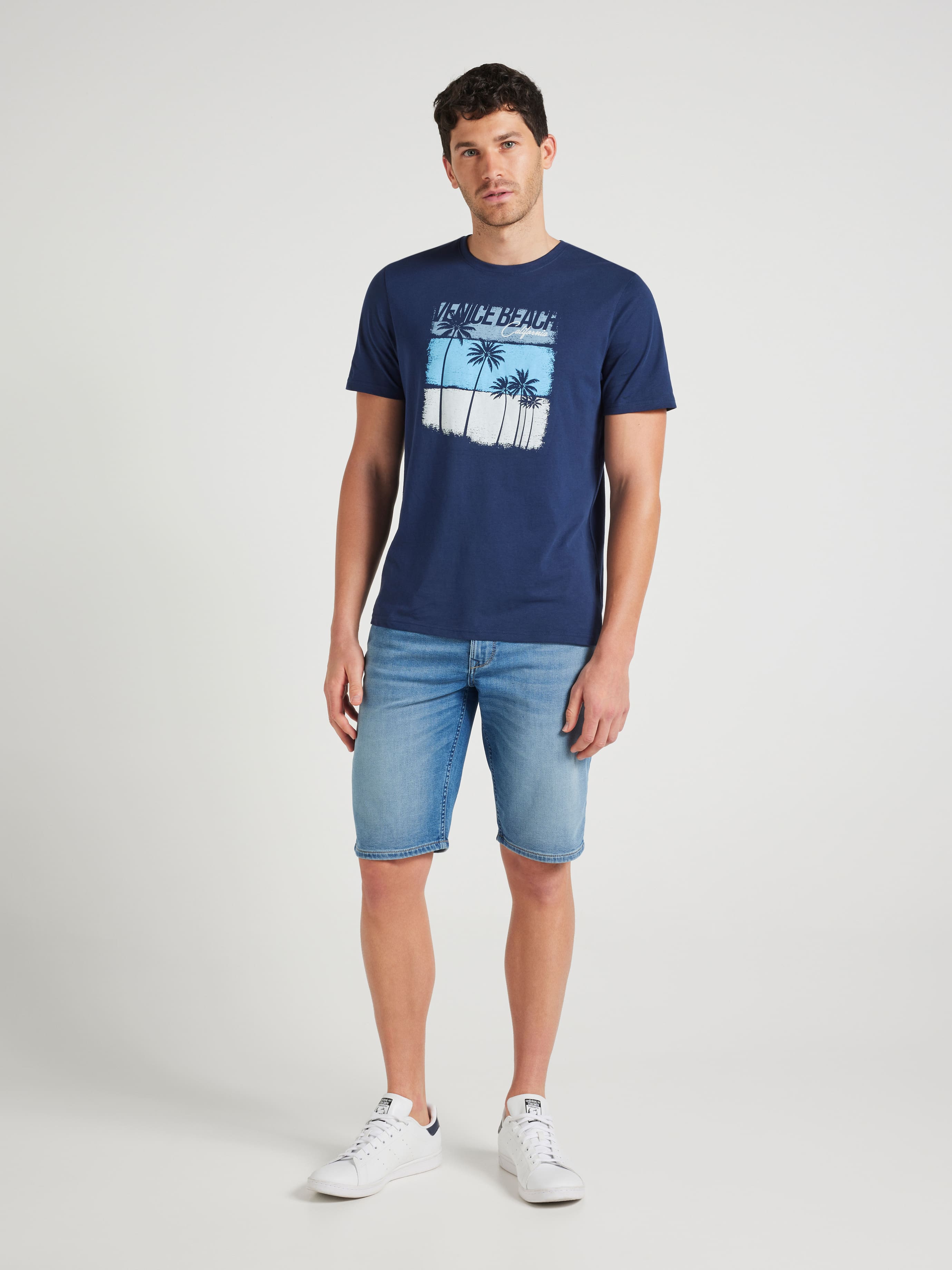 Short Sleeve Tonal Block Palm Tee