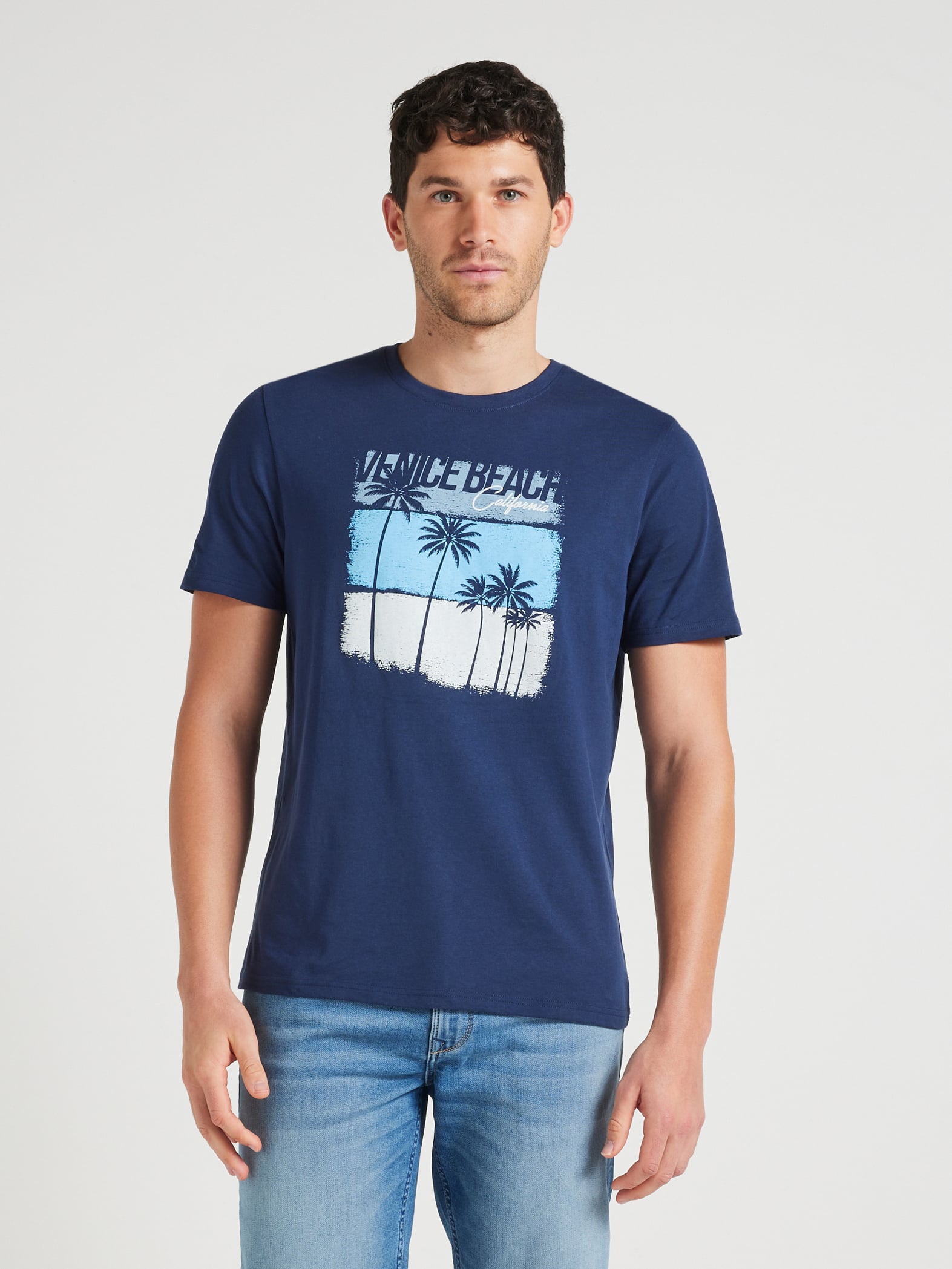 Short Sleeve Tonal Block Palm Tee
