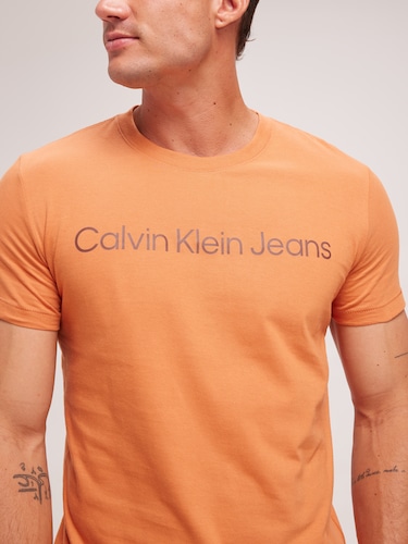 Core Institutional Logo Slim Tee In Burnt Clay                                                                                  